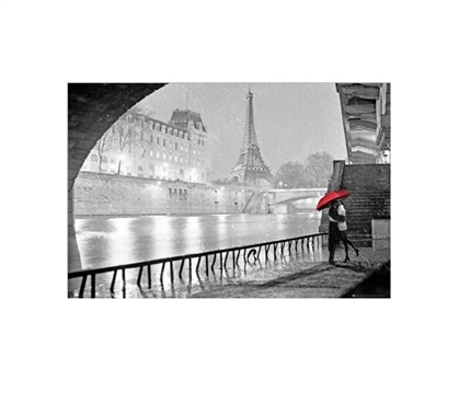 Eiffel Tower Kiss College Poster Dorm Room Decorations Dorm Room Decor