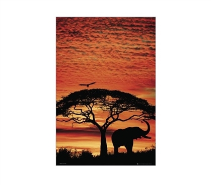 Africa Sunset Dorm Room Poster Wall Decorations for Dorms College Supplies