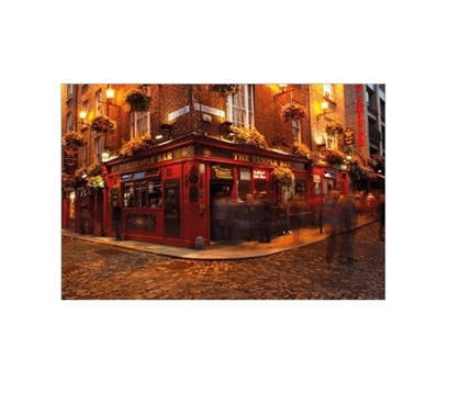 Dublin Temple Bar College Poster Cool Posters for Dorm Rooms Must Have Dorm Items