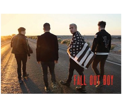 Fall Out Boy - Group Flag Poster
