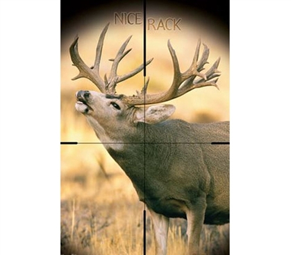 Fun College Supplies - Big Buck Poster - Decorate Your Dorm Room