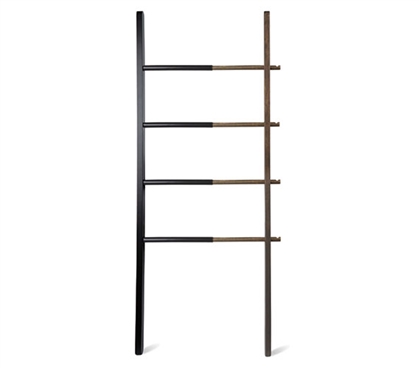 Dorm Storage Ladder