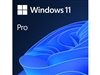 Microsoft FQC-10529 Windows 11 Professional 64Bit 1PK EN DSP OEI DVD Bulk Pack