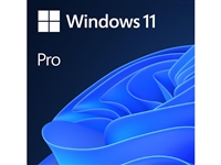 Microsoft FQC-10529 Windows 11 Professional 64Bit 1PK EN DSP OEI DVD Bulk Pack