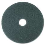 BLUE Cleaner Pad 5300 17IN