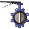 2 Ductile Iron Stainless Steel Buna 255# Lug Butterfly Valve