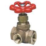 Not For Potable Use 1/4 Bronze 400 # Threaded Sd/Out Globe