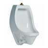 0.5/1.0 Gallons Per Flush 3/4 TSPUD Jet Urinal White