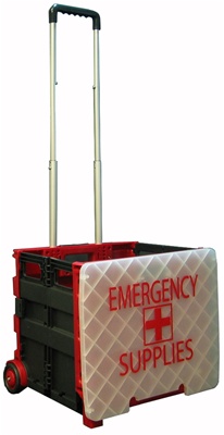 Large Emergency Cart with Lid