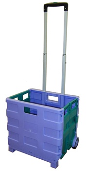 Large Folding Cart - Purple and Teal