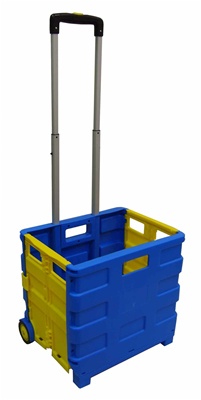 Blue and Yellow Small Plastic Cart