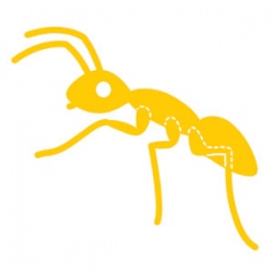 Ellison AllStar Die - Ant