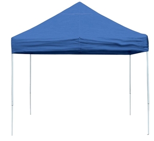 Deluxe Pop Up 10' X 10' Canopy Shelter