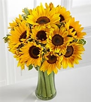 Sunny Sunflowers