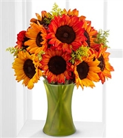 Fall Sunflowers