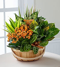 Blooming Planter Basket