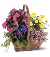 Blooming Garden Basket