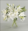 Simply Pure White Lilies
