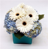 Blue Elegance: Hydrangea & Gerbra Daisy