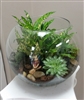 Fairy Terrarium