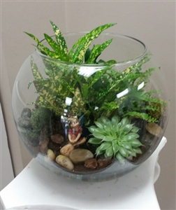 Fairy Terrarium