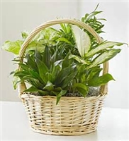 Country Garden Basket