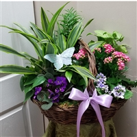 English Garden Basket