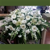 Gerbra Daisies & Lilies Casket Spray