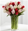 2-Lips Bouquet - 24 tulips