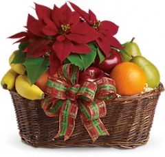 Poinsettia & Fruit Basket