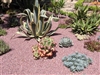 Apache Rose Pathway Gravel 3/8" Screened-Gravel Near Me