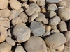 Yosemite Gold River Cobbles 4"- 8"