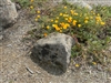 Mossback Landscaping Rock Boulders 12" - 18"