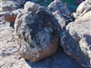 Sonoma Fieldstone Boulders 42" - 48" - Big Rock