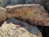 Palm Springs Gold Landscape Boulders 36" - 48"