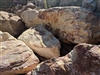 Palm Springs Gold Boulders 18" to 24"