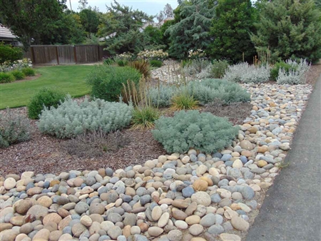 Noiyo River Cobblestones 4" to 8" Per Ton - Landscape Rock Near Me