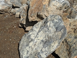 Gray Rust Boulders 24" - 36"