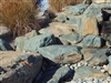 Gold Country Landscape Boulders Rock 30" - 36"