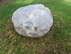 Sierra Salt n Pepper Large Landscaping Garden Rocks near me 24" - 30"