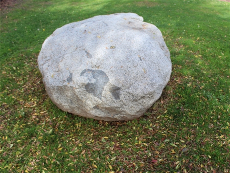 Sierra Salt n Pepper Large Landscaping Garden Rocks near me 24" - 30"