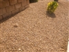 Golden Palomino Rock Gravel - Decorative Rock