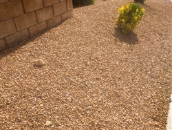 Golden Palomino Rock Gravel - Decorative Rock