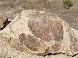 Golden Queen Granite Boulders 36"- 48" Per Pound