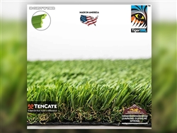 Everglade Fescue Artificial Grass