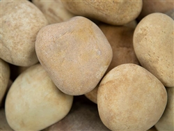 Niagara Yellow Pebbles 1/2" - 1-1/4" - 50Lb