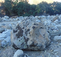 Gilroy Granite Boulder Moss Rock 12" - 18"
