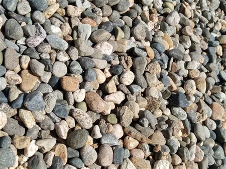 Noiyo River Pebbles 3/4" x 1"- River Stone