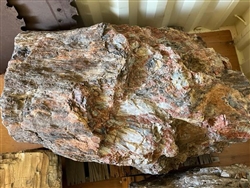 Petrified Wood Boulder Specimens  - Landscape Rock