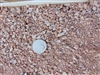 Arizona Blonde Decomposed Granite 1/4" - Crushed Granite Near Me